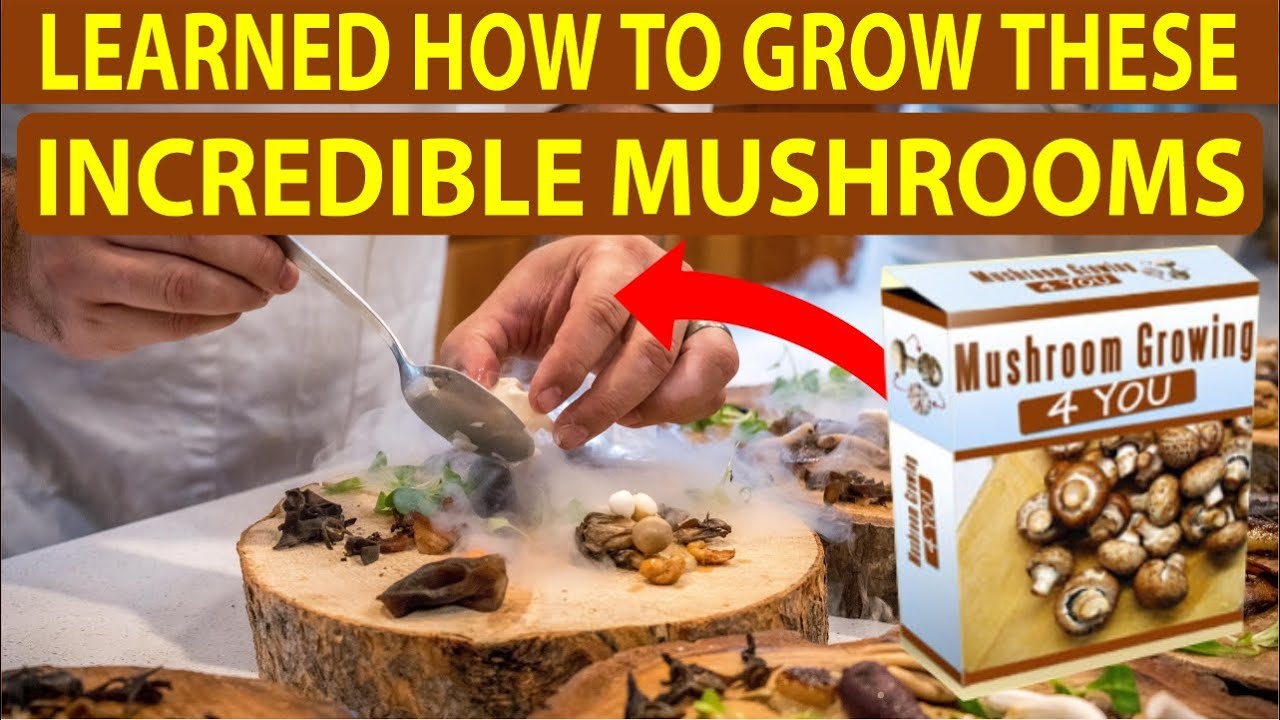 Mushroom Growing 4 You  pricing